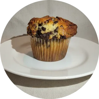 Chocolate Chip Muffin